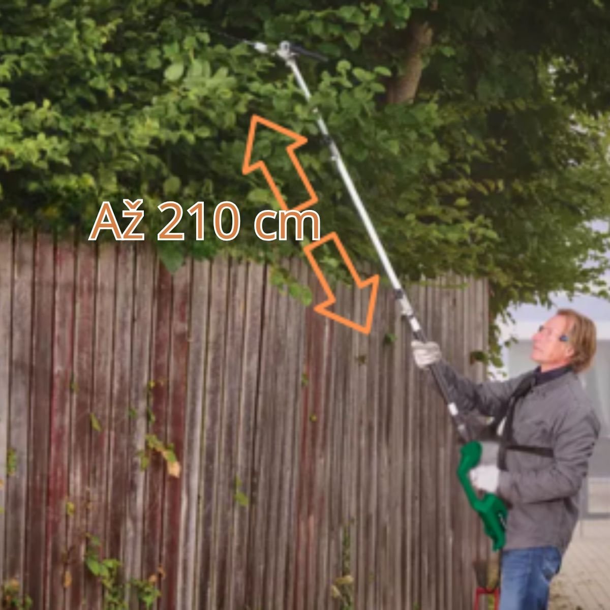 Ceco-4.jpg