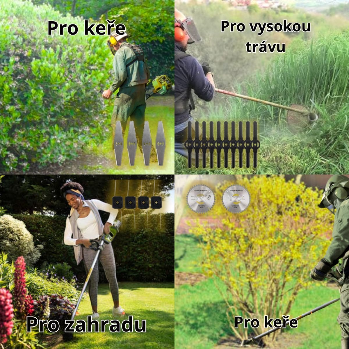 Ceco.jpg