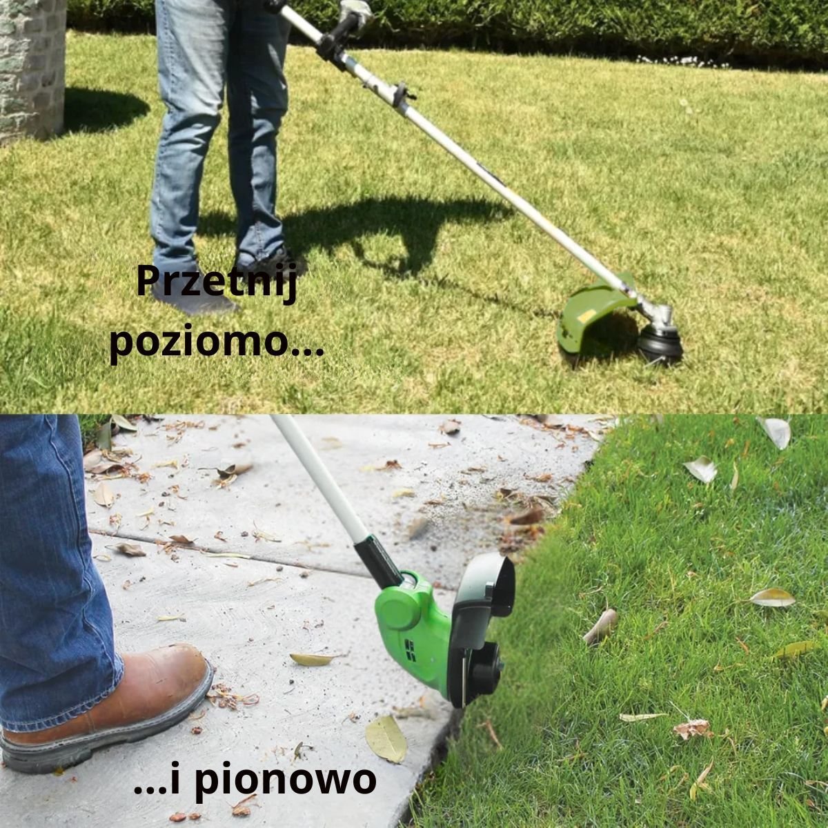 Polacco-3.jpg