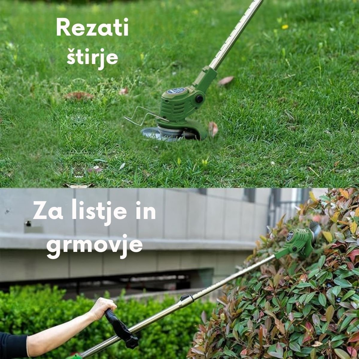 Sloveno-2.jpg